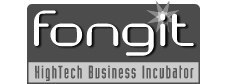 Fongit