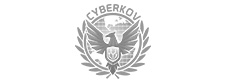 CyberKov